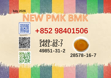 28578-16-7 New BMK 5449-12-7 Factory direct supply PMK