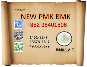 Hot Sale 28578-16-7 BK4 BVF 5449-12-7 BMK PMK honest supplier