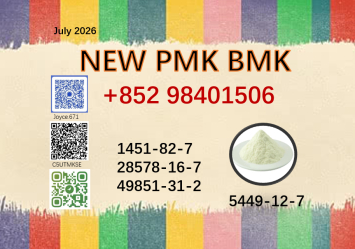 Best seller 28578-16-7 BMK 5449-12-7 factory supply PMK powder