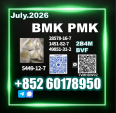 CAS 5449-12-7 New B.MK PM.K Newly Upgraded