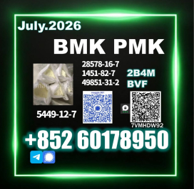 CAS 5449-12-7 New B.MK PM.K Newly Upgraded