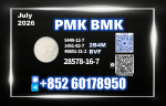 PMK CAS 28578-16-7 New BMK Stable Channel