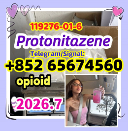 Protonitazene CAS 119276-01-6