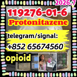 Protonitazene CAS 119276-01-6