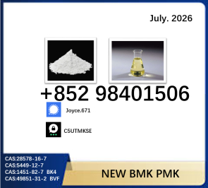 28578-16-7 BMK oil cas 5449-12-7 PMK powder 1451-82-7 sell