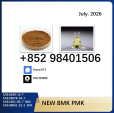 CAS 5449-12-7 BMK 28578-16-7 PMK bulk supply 1451-82-7 49851-31-2