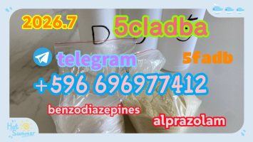 5cladba raw material 5CL-ADB-A precursor raw 5cladba 5f adb