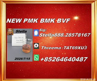 Trusted Chemical Exporter New PM.K cas28578-16-7/ BM.K CAS:5449-12-7/
