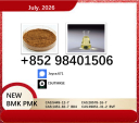BMK PMK 5449-12-7 hot sale 28578-16-7 oil powder material exporter