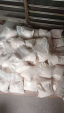 buy medetomidine,Medetomidine cas 86347-15-1,cas 86347-14-0 rhino tranq