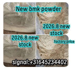 NEW BMK Glycidic Acid(sodium salt) CAS 5449-12-7 Pmk powder