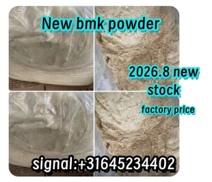 factory supply BMK powder 5449-12-7 Germany Warehouse pickup