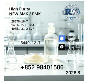 Factory Supply BMK and PMK - CAS 5449-12-7, 28578-16-7 Manufacture
