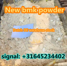 CAS 5449-12-7 New BMK Powder