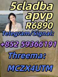 Secure Delivery of High quality CAS:14530-33-7 APVP