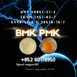 New B.MK CAS 5449-12-7 PM.K worldwide supplier