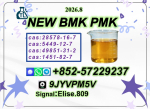 P.MK  Oil  C.AS 28578-16-7 | Professional Chemical Trading Service