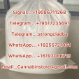 Buy 6cladba online, Metomidate powder, 5cladba
