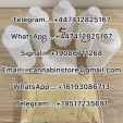 Buy 6cladba online, Metomidate powder, 5cladba