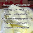 Buy 6cladba online, Metomidate powder, 5cladba