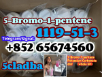CAS 1119-51-3  5-Bromo-1-pentene ，DMF ，CAS 68-12-2