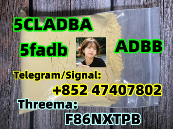 5cladba raw material 5CL-ADB-A precursor raw 5cladba