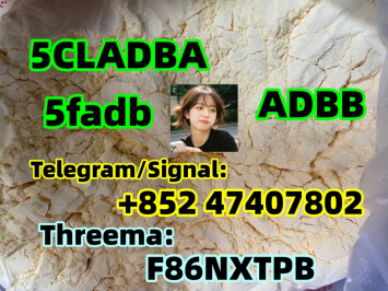 5cladba raw material 5CL-ADB-A precursor raw 5cladba 5f adb