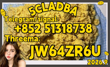 5cladba raw material 5CL-ADB-A precursor raw 5cladba 5f adb